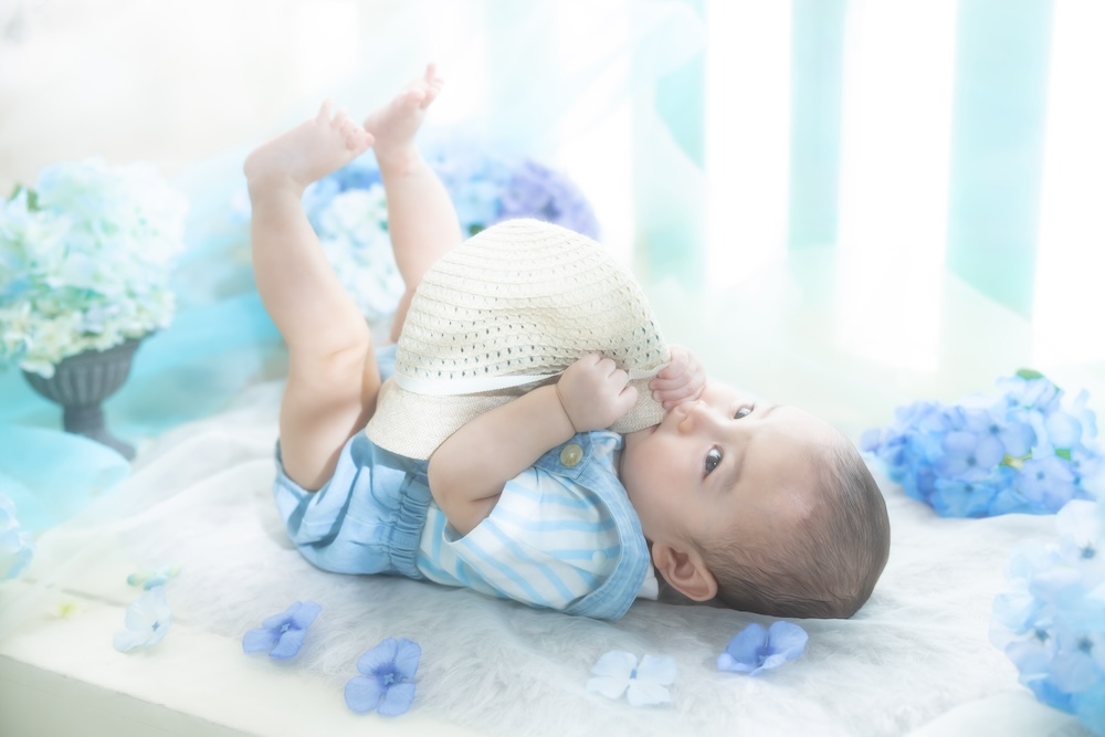 紫陽花　あじさい　夏
爽やか　1歳　１歳　ベビー　百日　100日