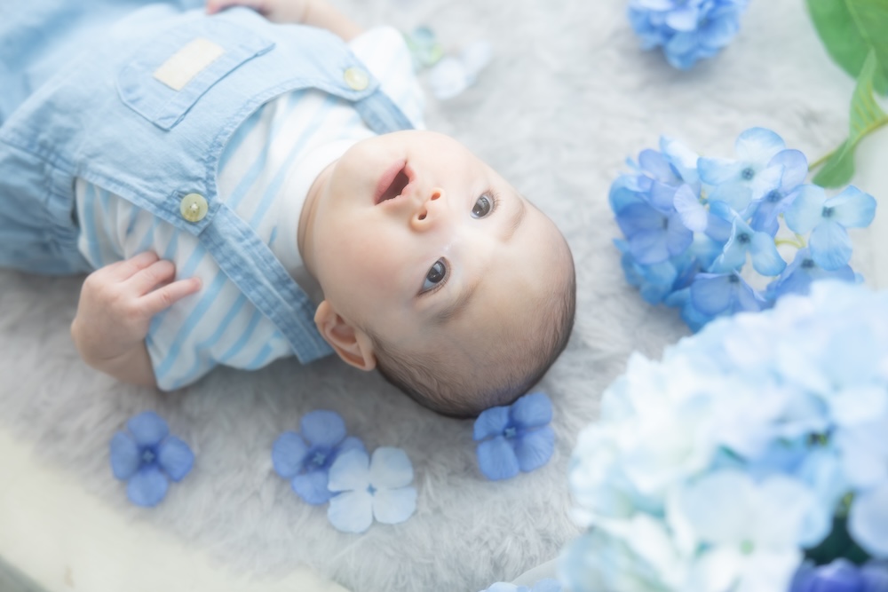 紫陽花　あじさい　夏
爽やか　1歳　１歳　ベビー　百日　100日