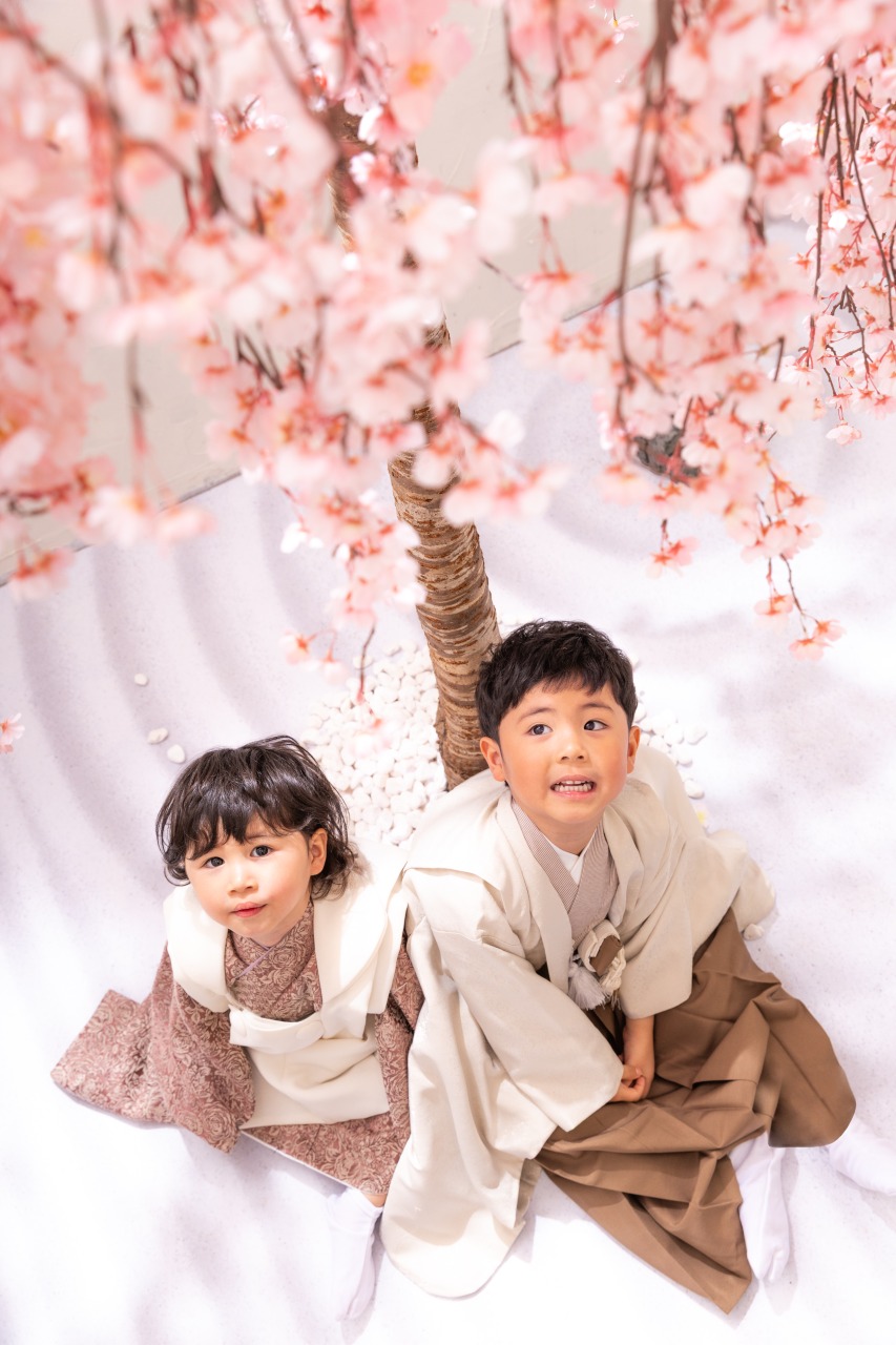 きょうだいまとめて撮影したい！ぱれっとのきょうだいプランって...