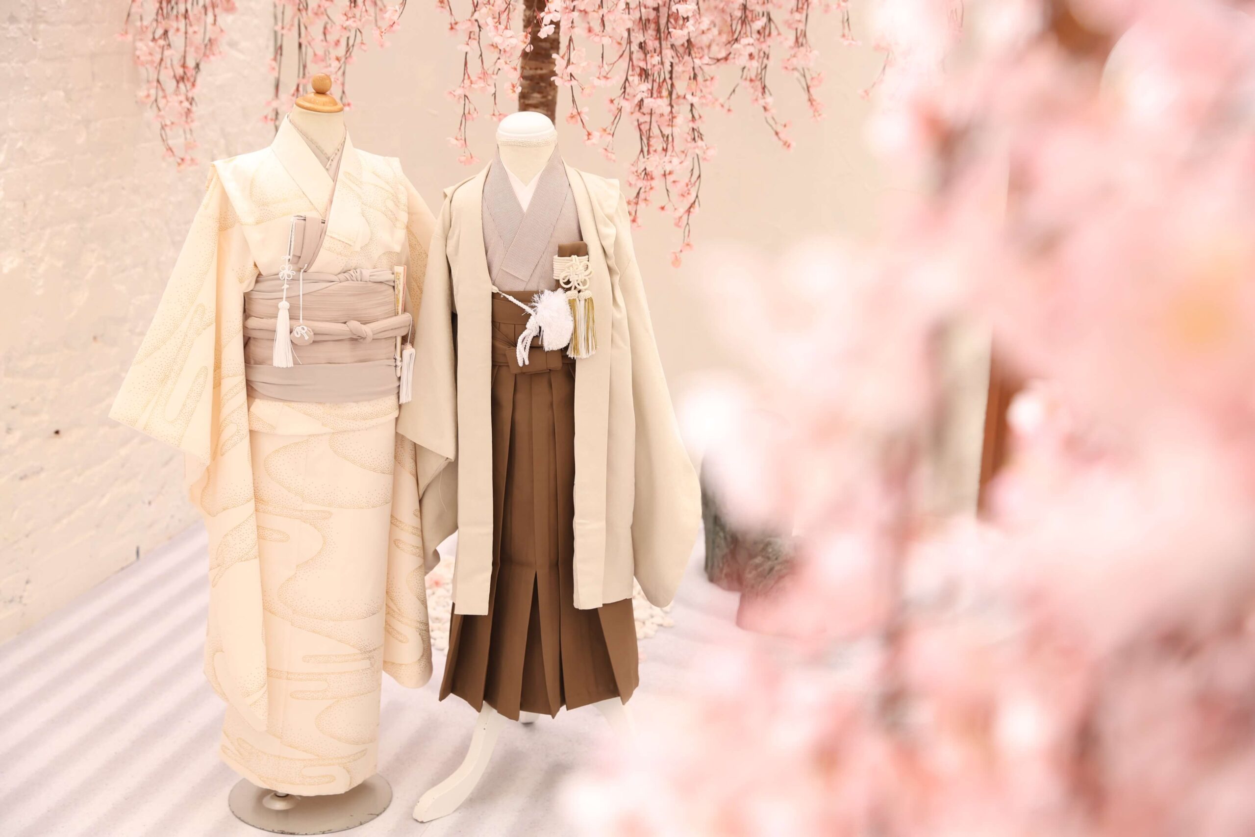【和スタジオ】桜×おすすめ衣装をご紹介！【和装ver】