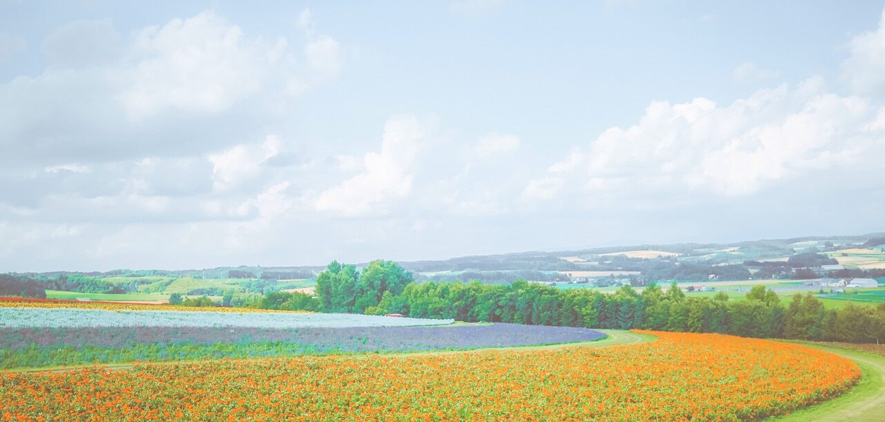 フラワーランドかみふらの