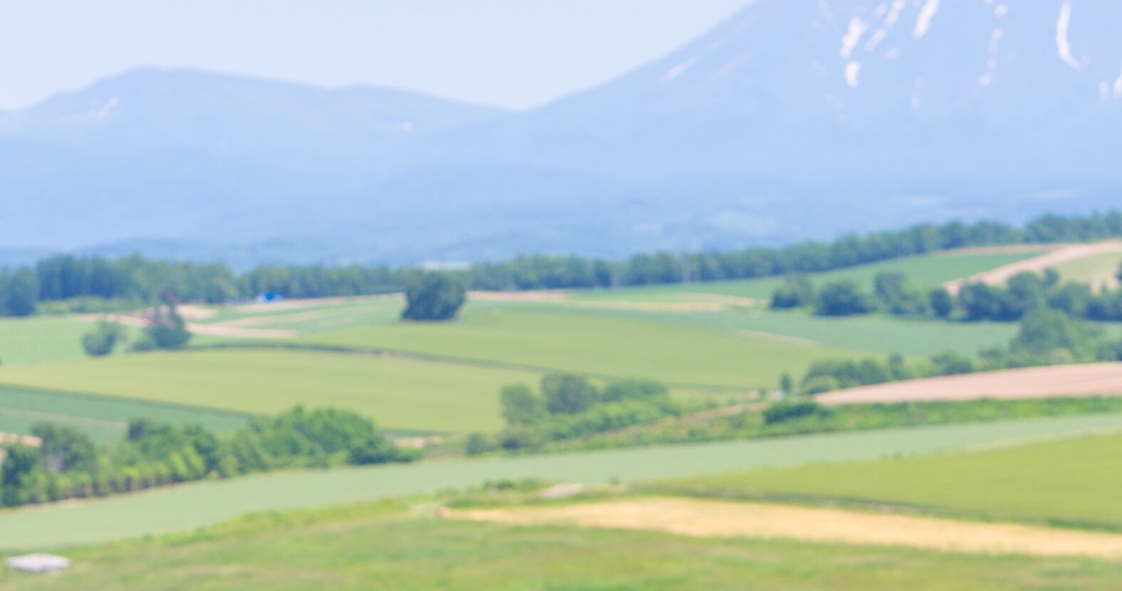 千代田ファーム