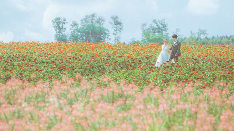 フラワーランドかみふらの