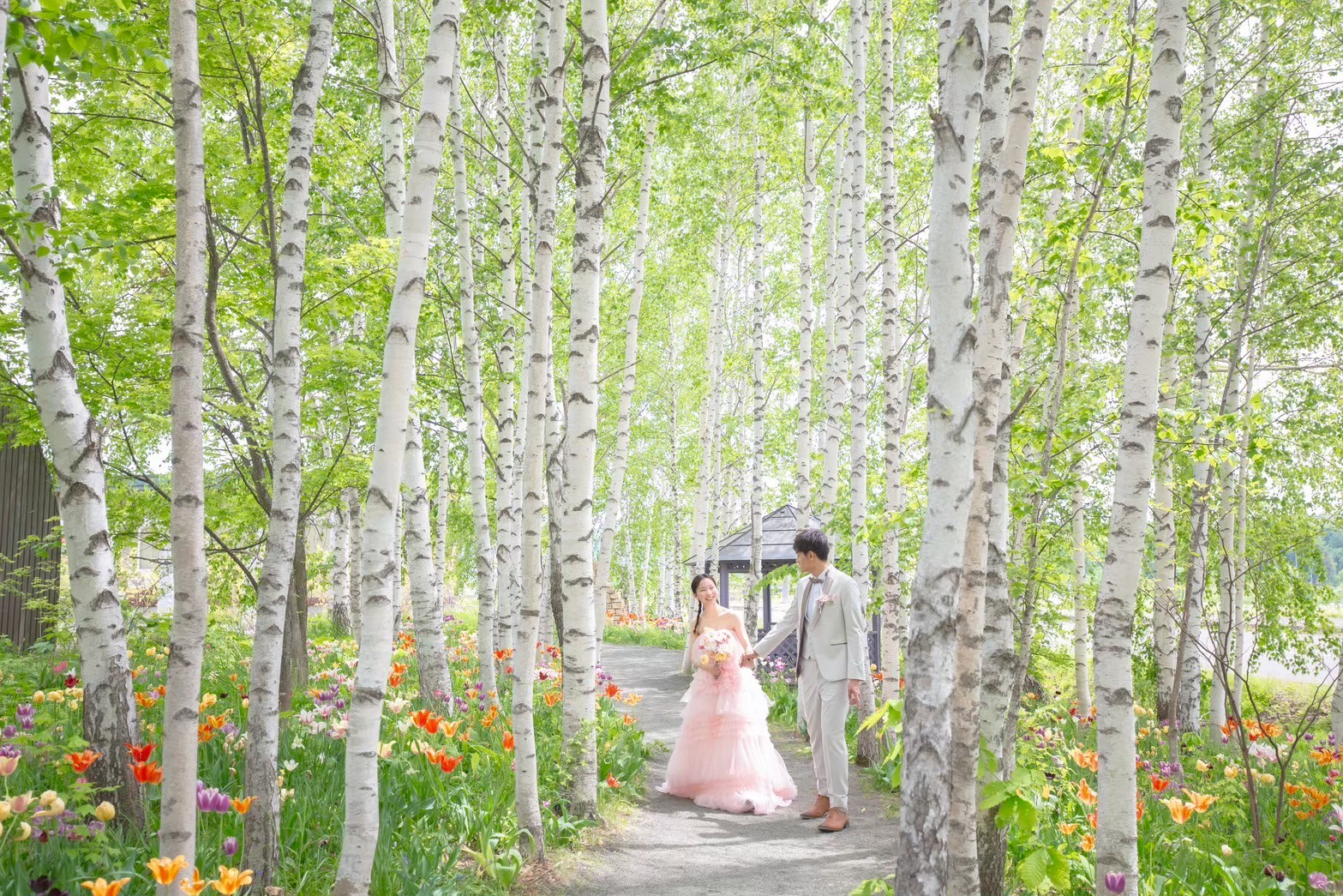 旭川エリアのハイシーズンロケーションフォト📷人気トップ3撮影コースを徹底解説!