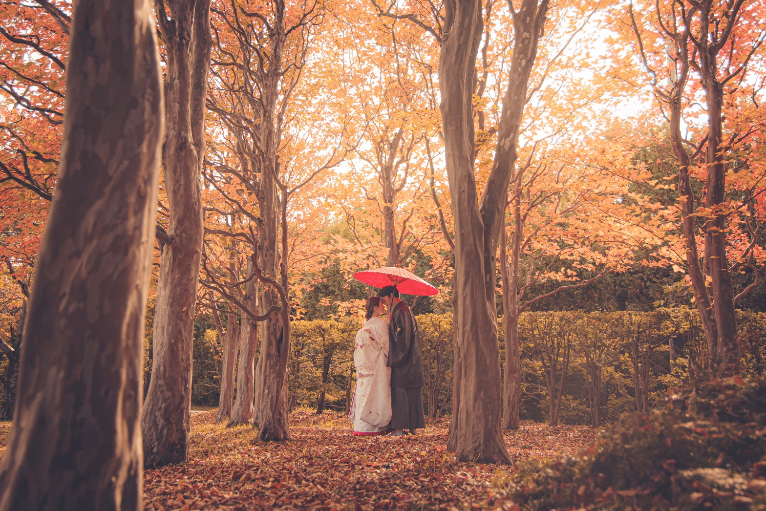 平岡樹芸センター(秋)