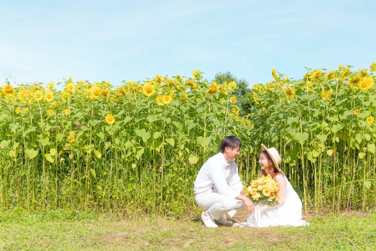 十勝ヒルズ（夏）