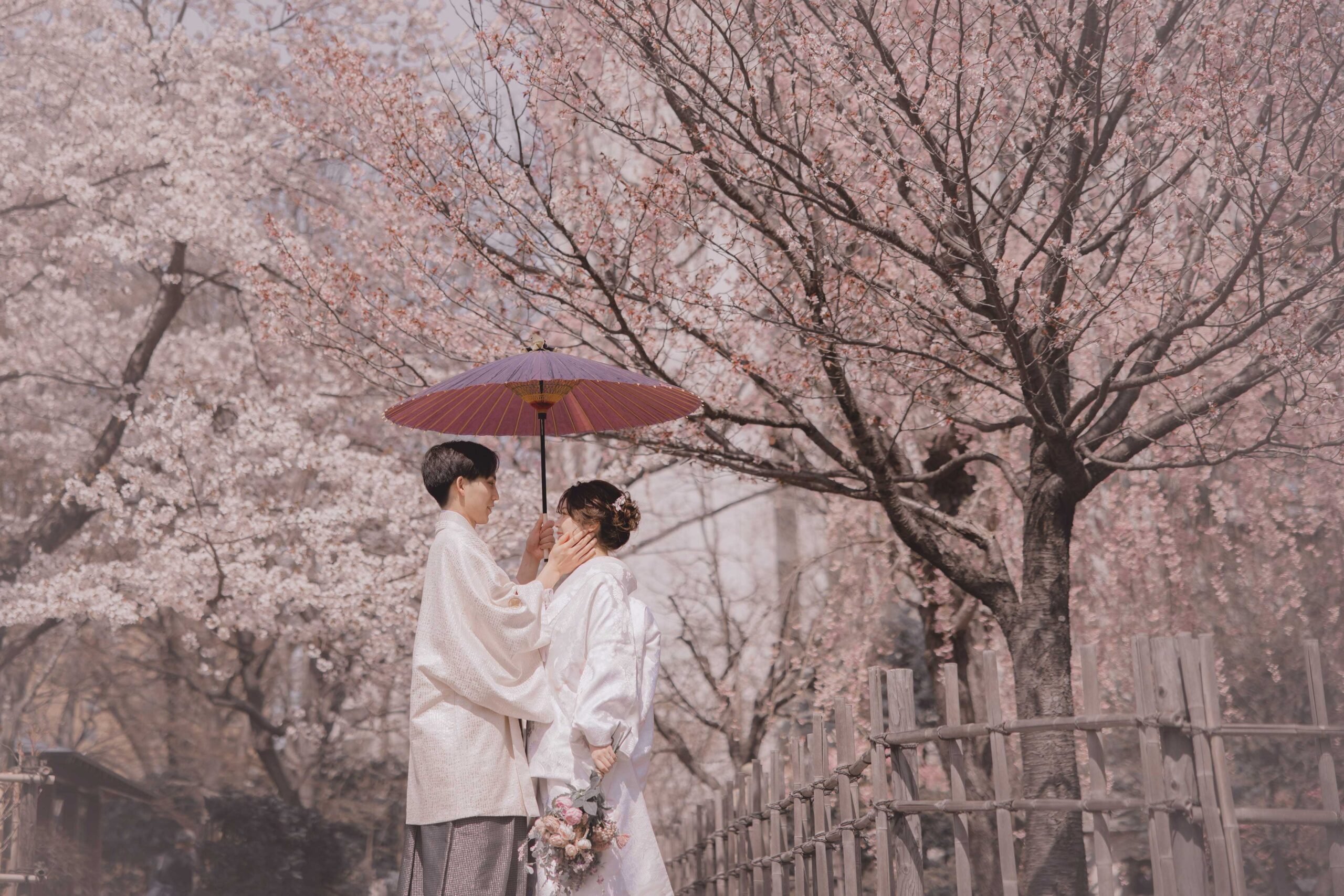 中島公園（春）