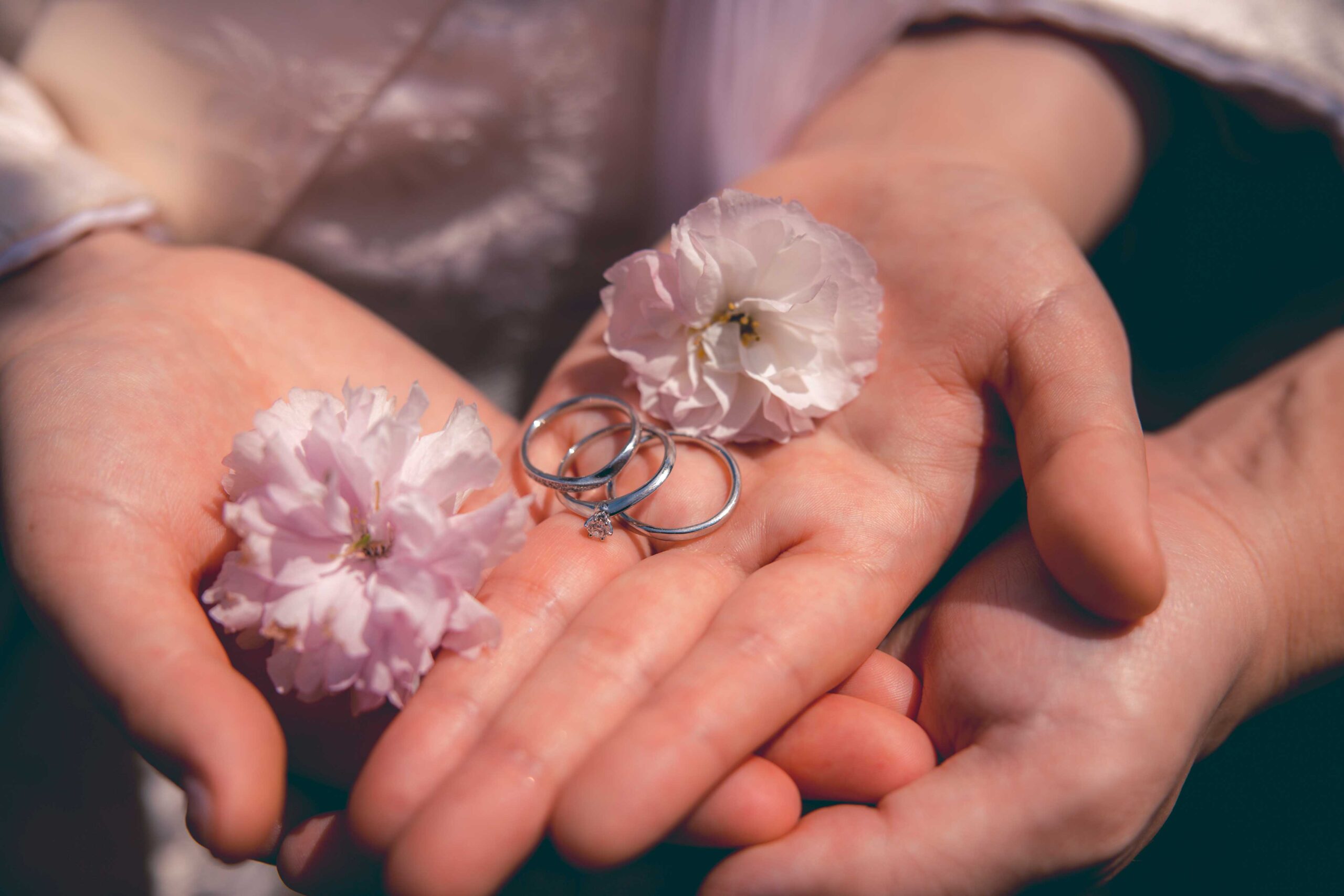 天神山緑地（春）