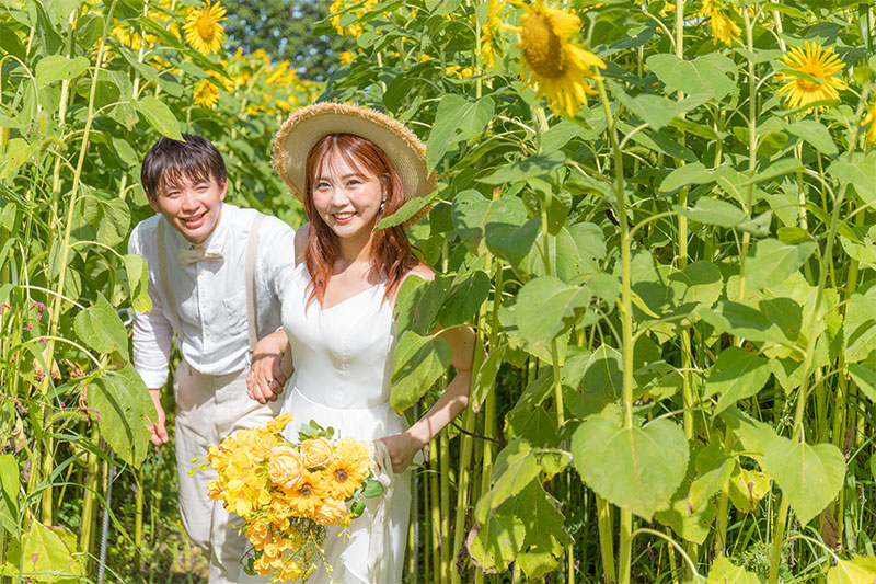 北海道富良野のひまわり畑で絶景ロケーションフォト体験