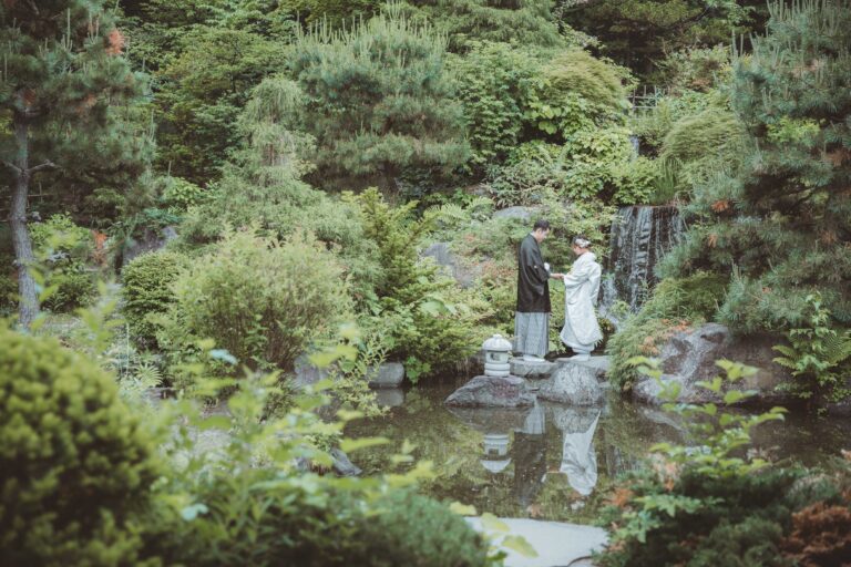 天神山緑地（夏）