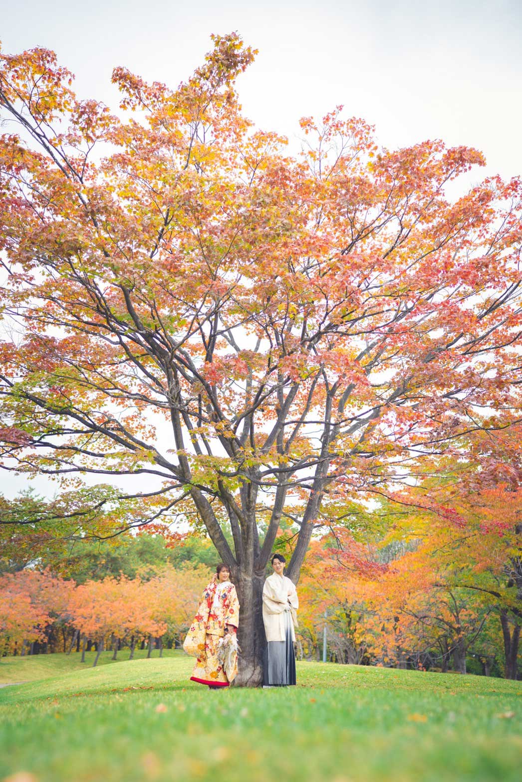 天神山緑地（秋）