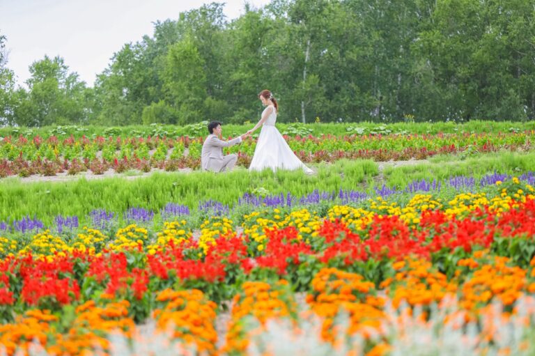 美瑛 四季彩の丘（夏）