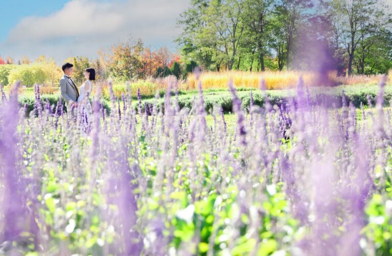 滝野すずらん公園（夏）