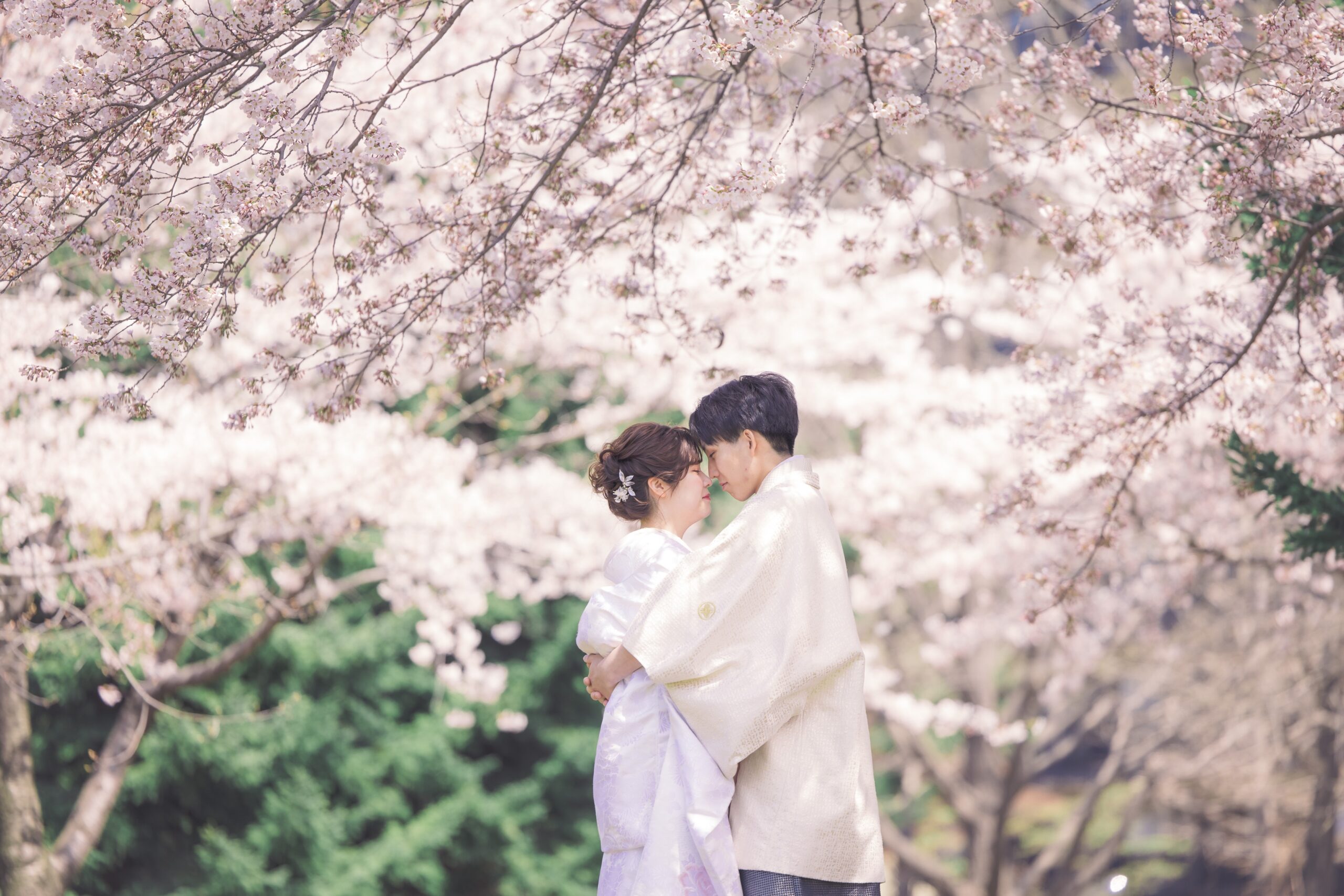 【即決必見】来春のロケ予約はもう始まっている!お得な「12月即決キャンペーン」の全貌