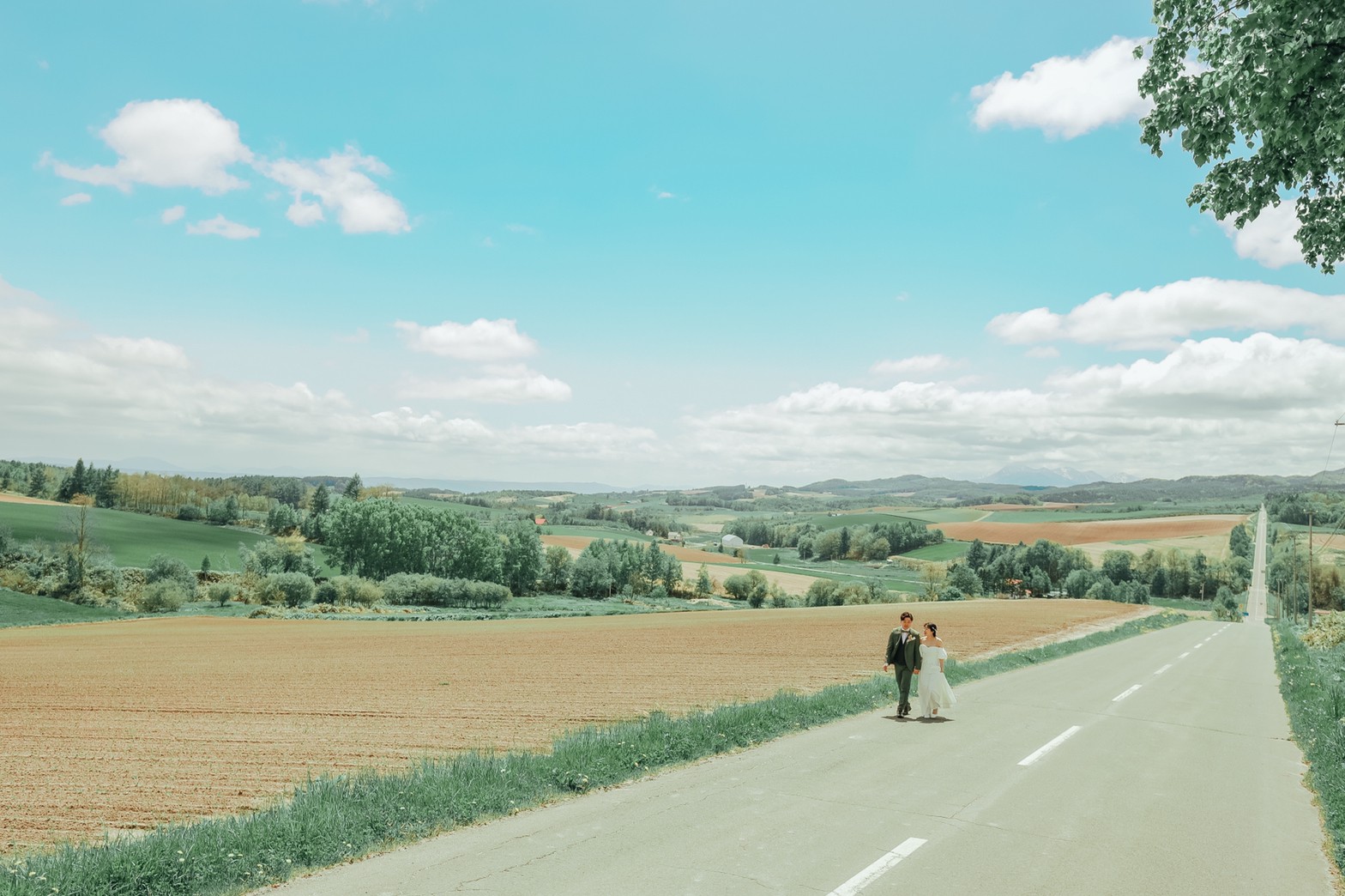 【2026年夏】憧れの美瑛・富良野ロケを叶えたい♡予約の流れと失敗しないための注意点