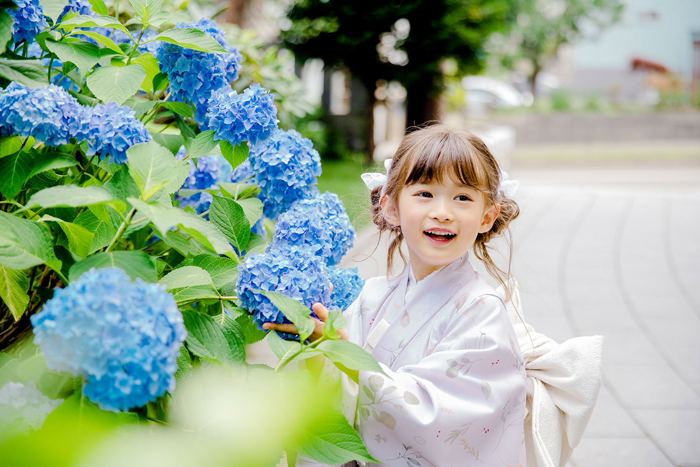 セットオプション