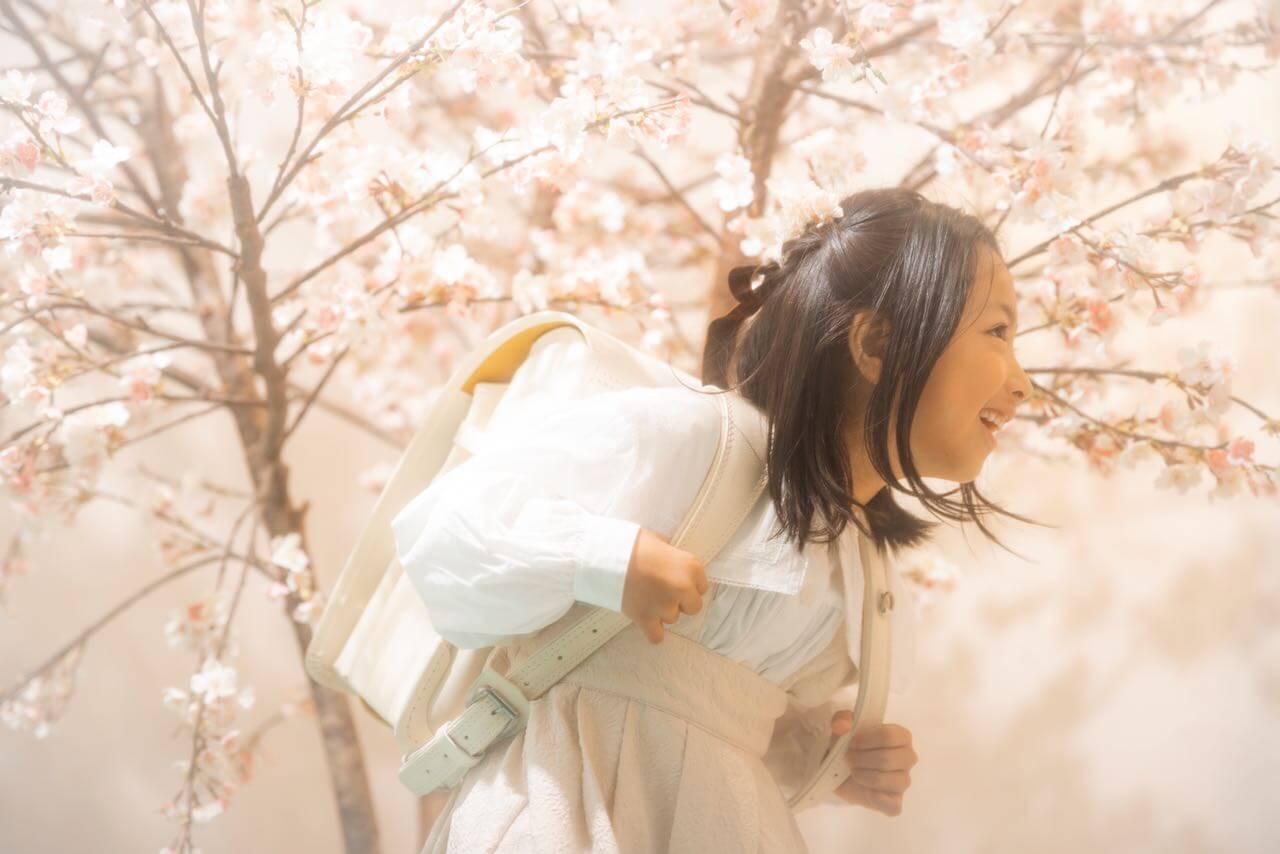 【札幌ママ必見】入学シーズンの桜はいつ咲く？ランドセルと桜で最高の一枚を残すベストタイミングと秘訣🪄