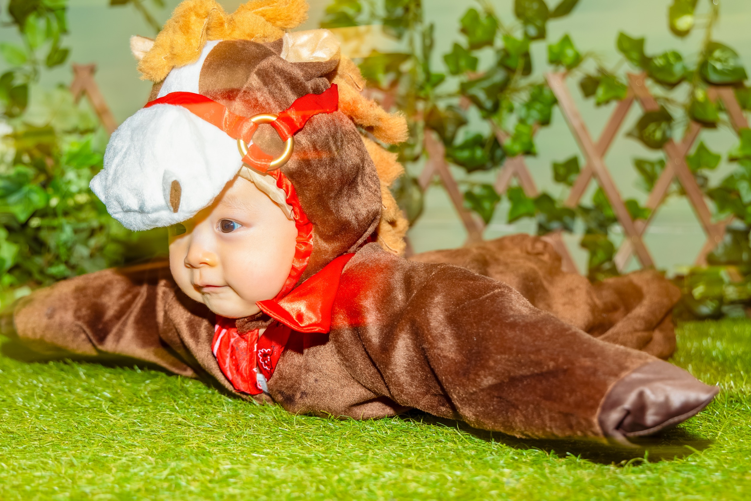 直近に登場した新ビジュアルを一挙公開!ベビーver✨