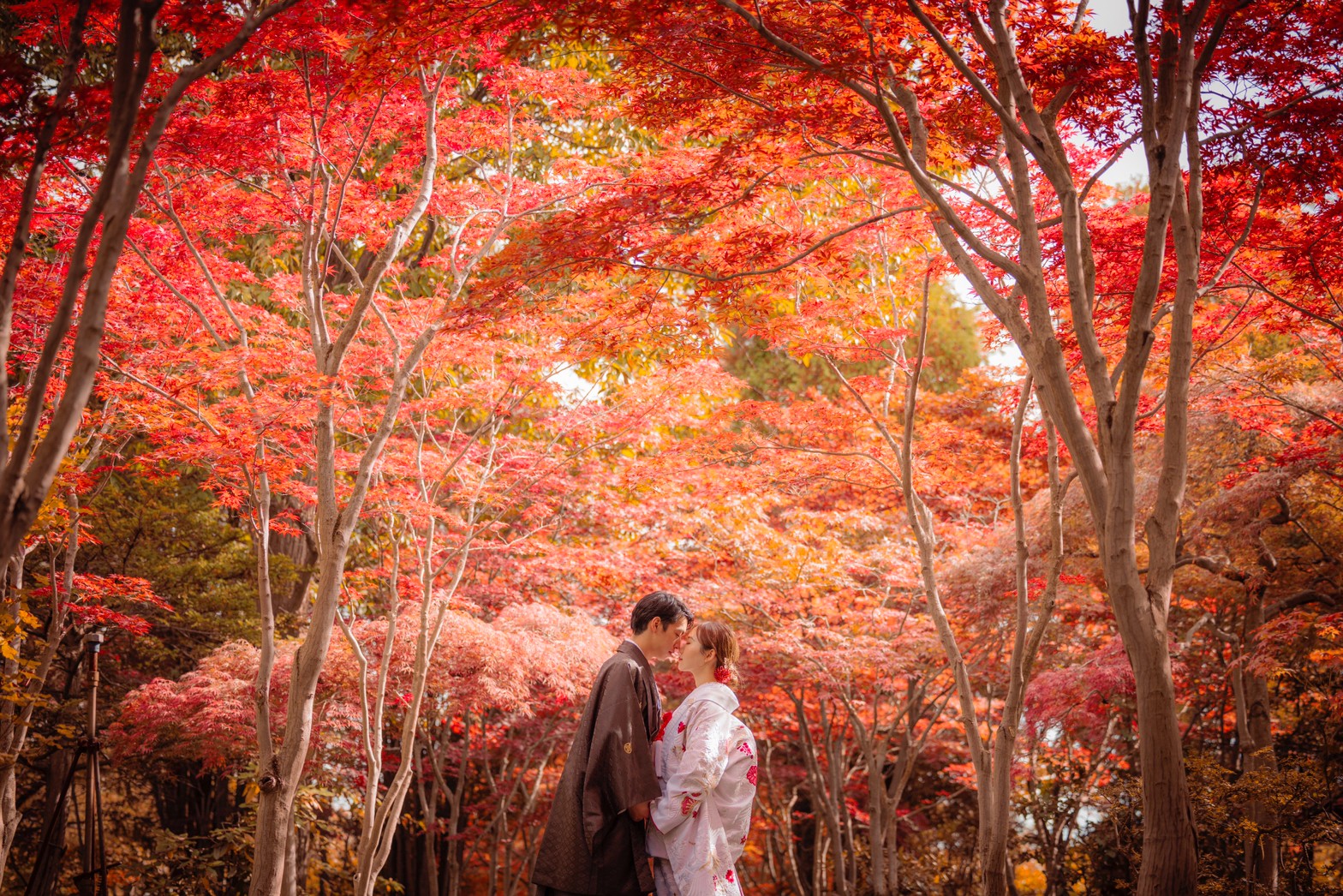 Stunning Autumn Leaves Pre-Wedding in Japan: Your Complete Guide