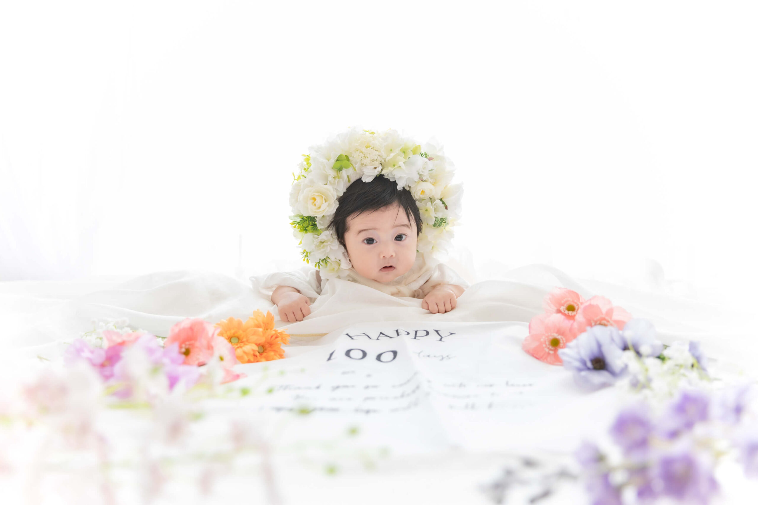 【2026最新】札幌で百日撮影をお得に！Palette+plus 札幌西店のキャンペーン＆限定プラン徹底解説