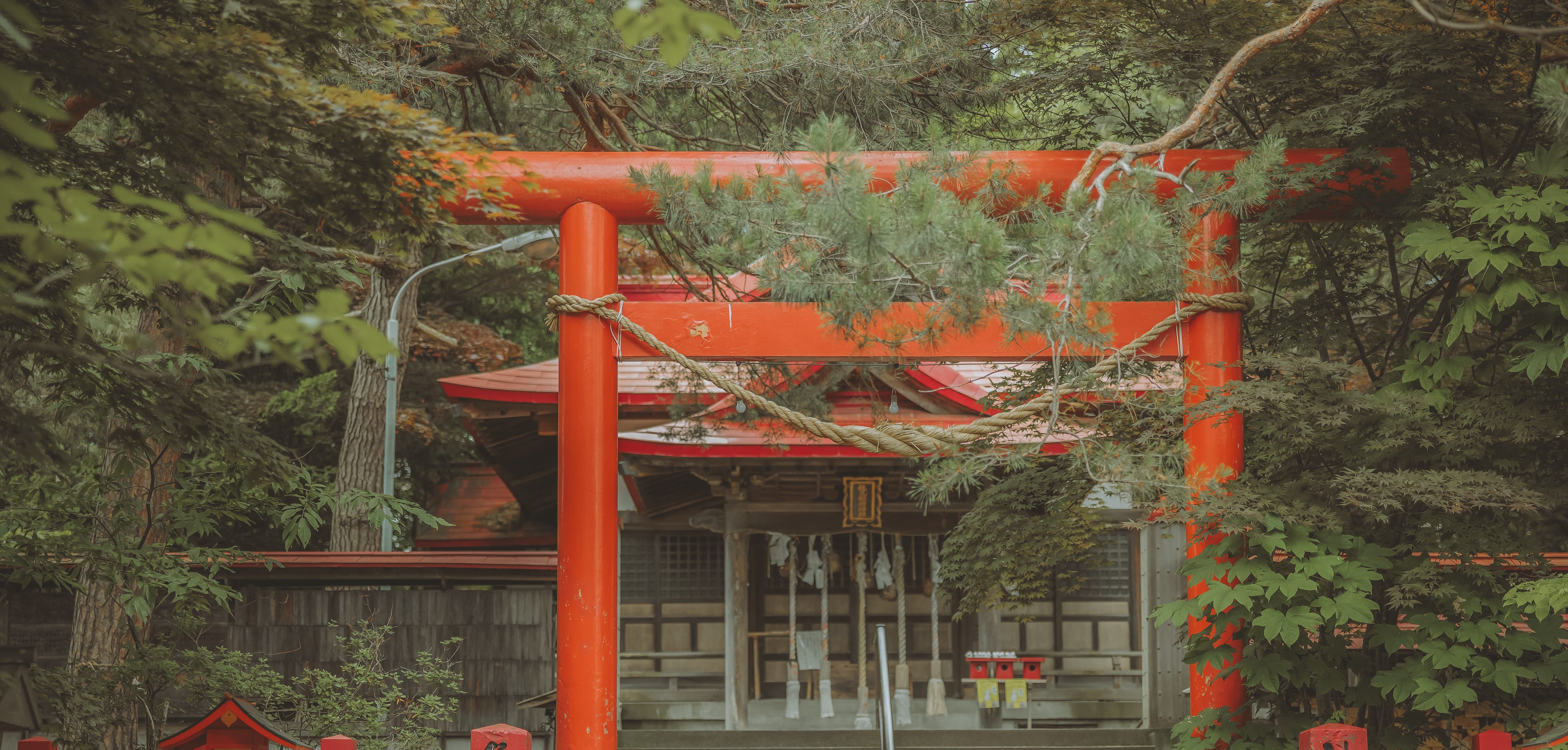 伏見稲荷神社（夏）