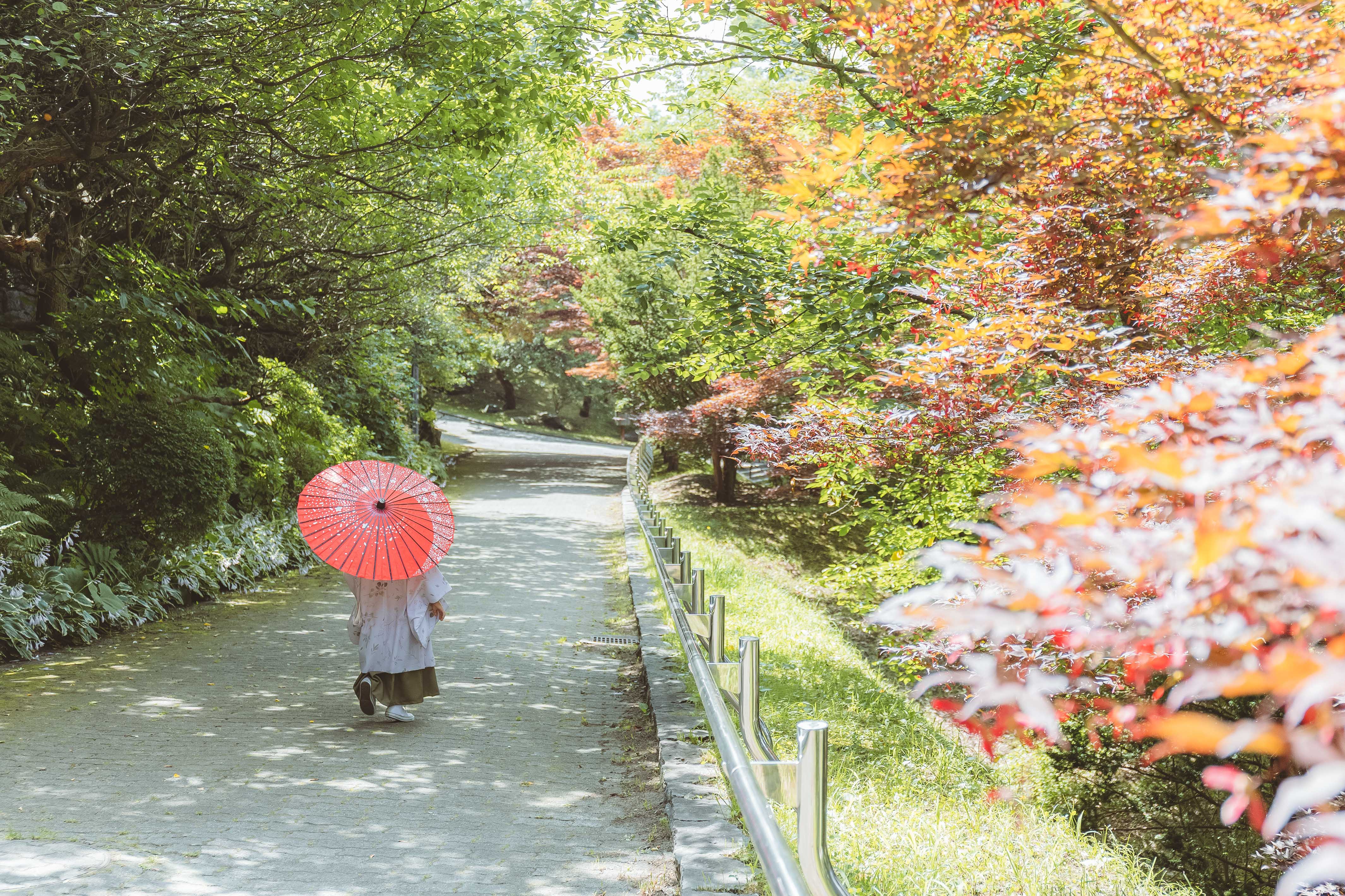 天神山緑地(和装)